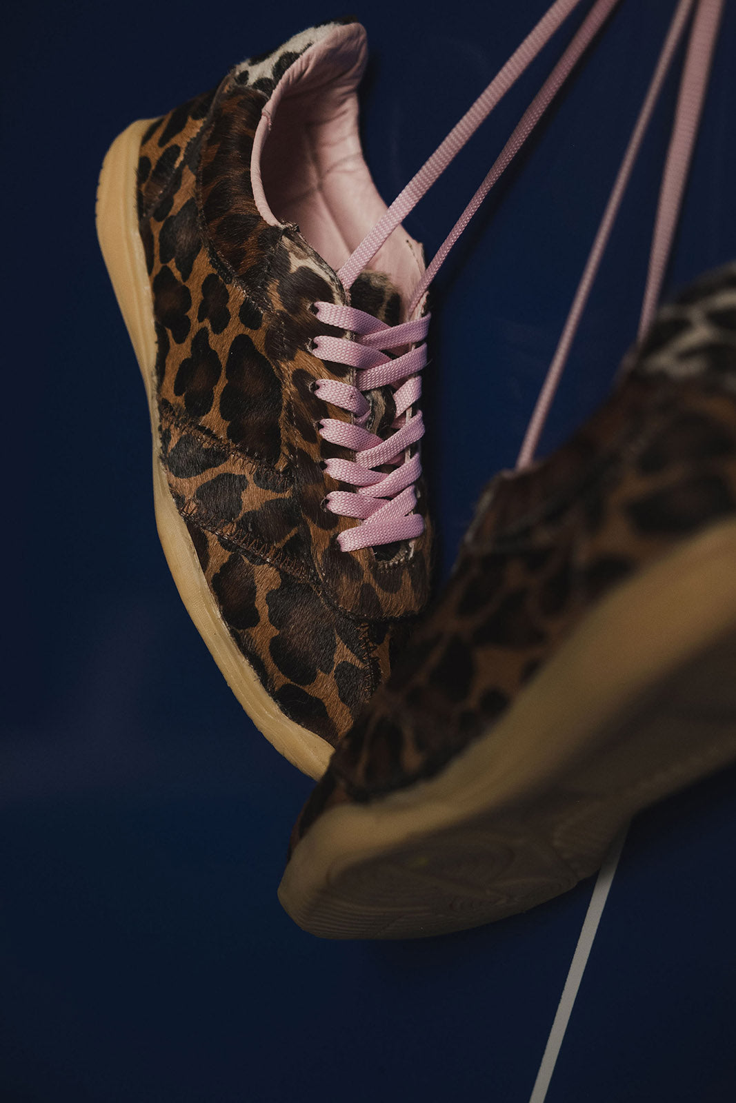 Tenis